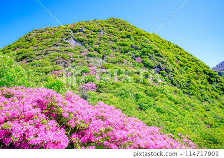 長崎縣雲仙市國見山及國見山 114717901