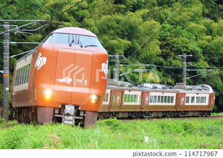 [JR West] 273 series "Yakumo" (Hakubi Line: Neu - Kurosaka) 114717967