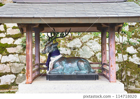 京都吉田神社神的使者鹿(京都市左京區) 京都吉田神社神的使者鹿(京都市左京區) 114718020