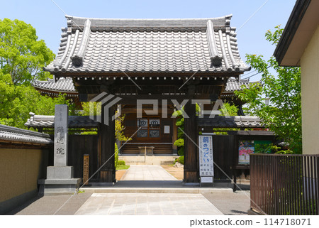 Around Shoren-in Temple, Koshigaya City, Saitama Prefecture, May 2024 Around Shoren-in Temple, Koshigaya City, Saitama Prefecture, May 2024 114718071