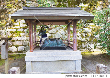 Yoshida Shrine, Kyoto - Deer, messengers of the gods (Sakyo Ward, Kyoto City) Yoshida Shrine, Kyoto - Deer, messengers of the gods (Sakyo Ward, Kyoto City) 114718091
