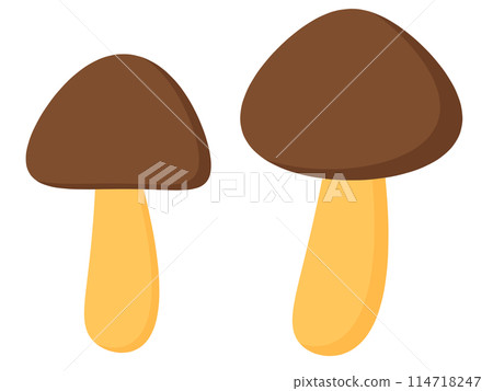 A candy with chocolate on the end of a stick A candy with chocolate on the end of a stick 114718247