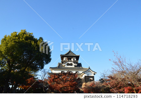 犬山城(愛知縣犬山市) 犬山城(愛知縣犬山市) 114718293