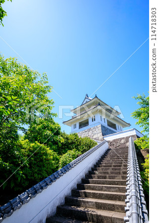 Takezaki Castle Ruins Observatory in early summer, Tara Town, Saga Prefecture 114718303