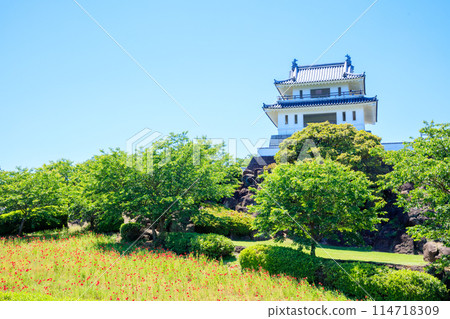 Takezaki Castle Ruins Observatory and poppy flowers in early summer, Tara Town, Saga Prefecture 114718309