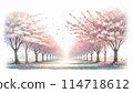 Watercolor style cherry blossom trees in full bloom Watercolor style cherry blossom trees in full bloom 114718612