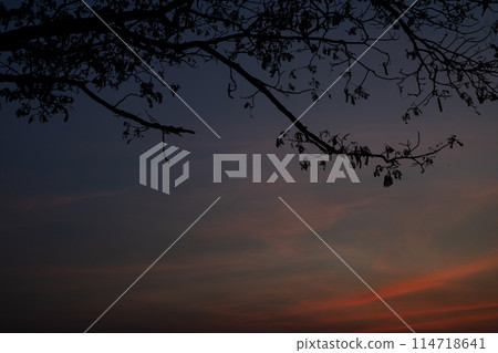 Overcast clouds and sun in the sky. At colorful sunset. 114718641