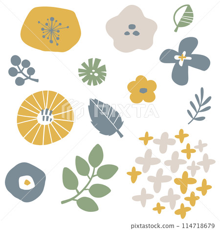 斯堪的納維亞植物的手繪插圖 斯堪的納維亞植物的手繪插圖 114718679