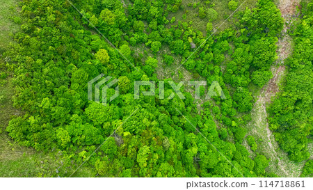 高地森林鳥瞰圖 114718861