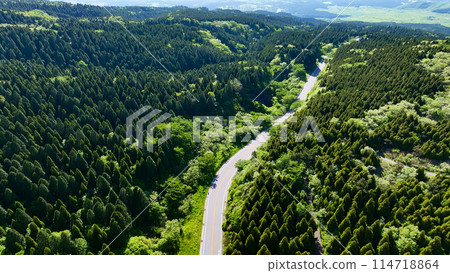 Forest and road aerial view 114718864