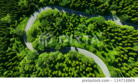 森林和道路 - 真實的俯視鳥瞰圖 森林和道路 - 真實的俯視鳥瞰圖 114718869