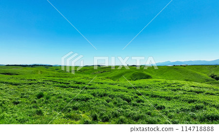 Grassland scenery aerial view 114718888