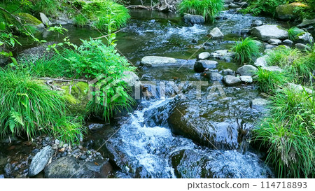 Mountain stream landscape 114718893