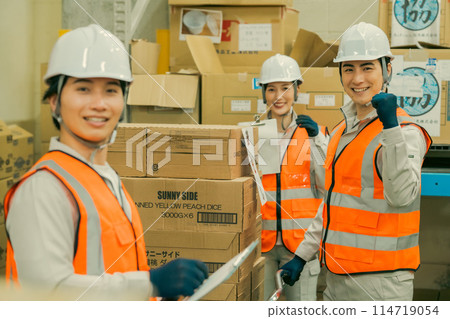 Logistics team working in warehouse Logistics team working in warehouse 114719054