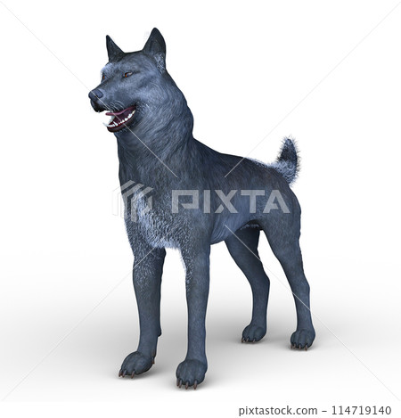 Wolf  114719140