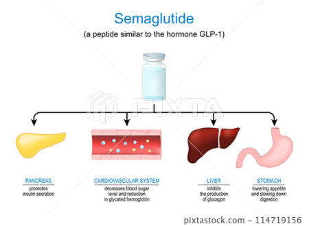 Semaglutide. Peptide hormone. Mechanism of action Semaglutide. Peptide hormone. Mechanism of action 114719156