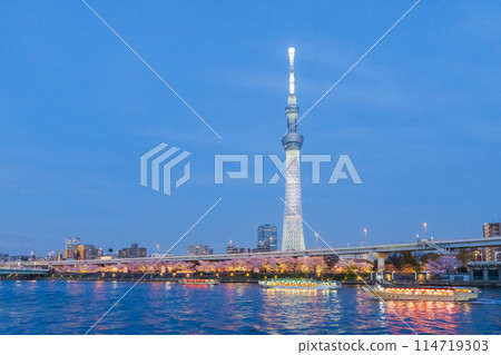 Skytree and cherry blossoms in full bloom as seen from the Sumida River in spring Skytree and cherry blossoms in full bloom as seen from the Sumida River in spring 114719303
