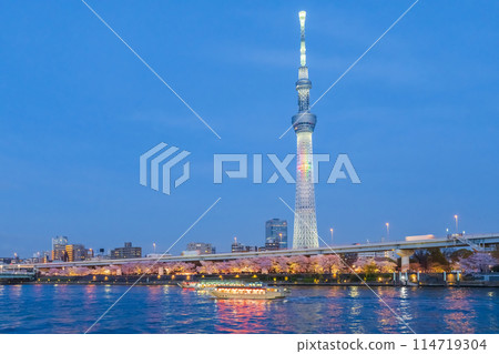 Skytree and cherry blossoms in full bloom as seen from the Sumida River in spring Skytree and cherry blossoms in full bloom as seen from the Sumida River in spring 114719304