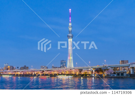 Skytree and cherry blossoms in full bloom as seen from the Sumida River in spring Skytree and cherry blossoms in full bloom as seen from the Sumida River in spring 114719306