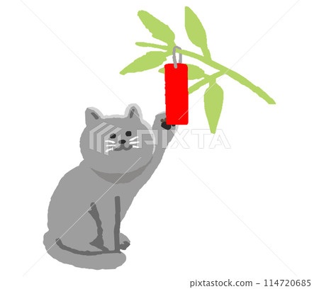 Tanabata bamboo and cat 114720685