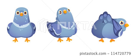 Funny pigeon vector set. Dove character cartoon Funny pigeon vector set. Dove character cartoon 114720779