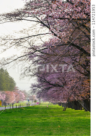 二十間路風景 114721953