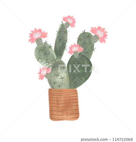 Cactus in a wicker basket. Plants for the home. Floriculture. Interior decoration. Isolated watercolor illustration on white background. Clipart. Cactus in a wicker basket. Plants for the home. Floriculture. Interior decoration. Isolated watercolor illustration on white background. Clipart. 114722068