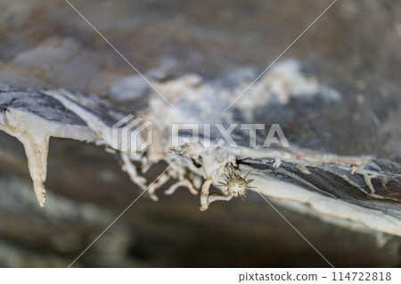 Abstract Shapes and Textures of Mineral Formations Close-Up 114722818