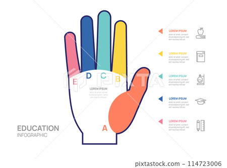 Infographic education hand diagram template. Modern Timeline 5 step, presentation vector infographics. 114723006