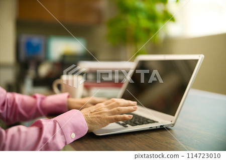 A middle-aged woman drinking coffee and looking at a computer A middle-aged woman drinking coffee and looking at a computer 114723010