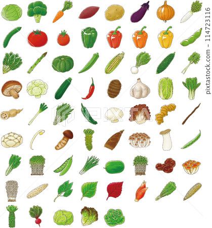 蔬菜套裝（水彩風格） 114723116