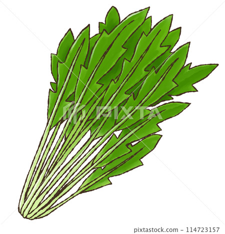 Mizuna (watercolor style) Mizuna (watercolor style) 114723157