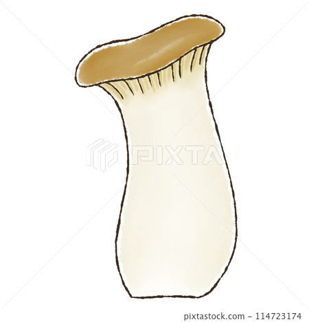 Eringi（水彩風格） 114723174