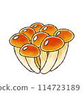 Nameko (watercolor style) 114723189