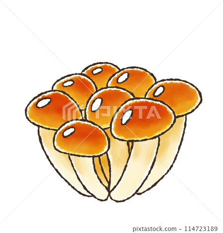 Nameko (watercolor style) 114723189