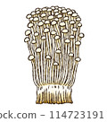 Enoki mushroom (watercolor style) 114723191