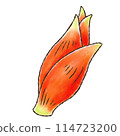 Ginger (watercolor style) 114723200