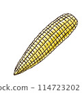 Young corn (watercolor style) 114723202