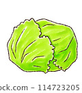 Lettuce (watercolor style) 114723205