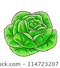 Salad leaves (watercolor style) 114723207