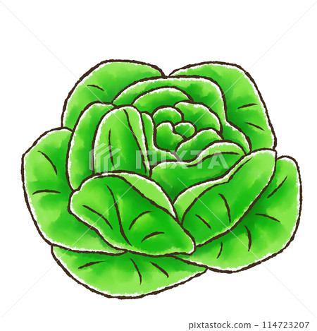 沙拉蔬菜（水彩風） 114723207