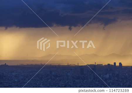 成川庭園_大阪府立森林的夜景 114723289