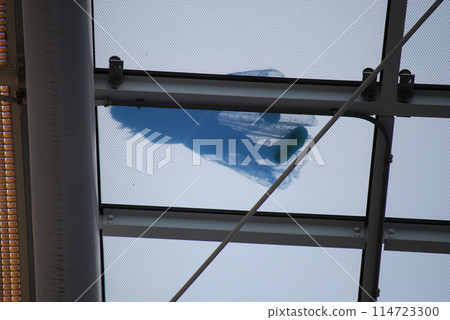 Human figure Human figure 114723300
