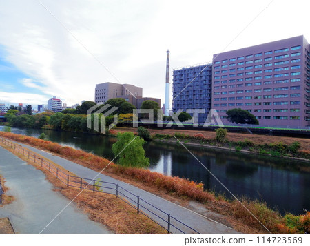 Streets of Kumamoto City, Kumamoto Prefecture 114723569