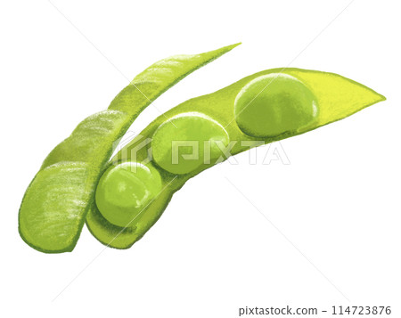 毛豆（去殼） 114723876