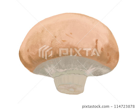 1 brown mushroom 114723878