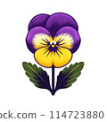 simple pansy simple pansy 114723880