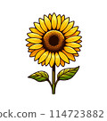Simple sunflower Simple sunflower 114723882