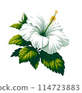 Simple Hibiscus Simple Hibiscus 114723883