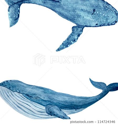 Blue whale frame hand-drawn in watercolor isolated on white. High quality blue monochromatic illustration for notebooks, posters, cards, sea souvenirs, eco, tourism, oceanarium, room decor and logo 114724346